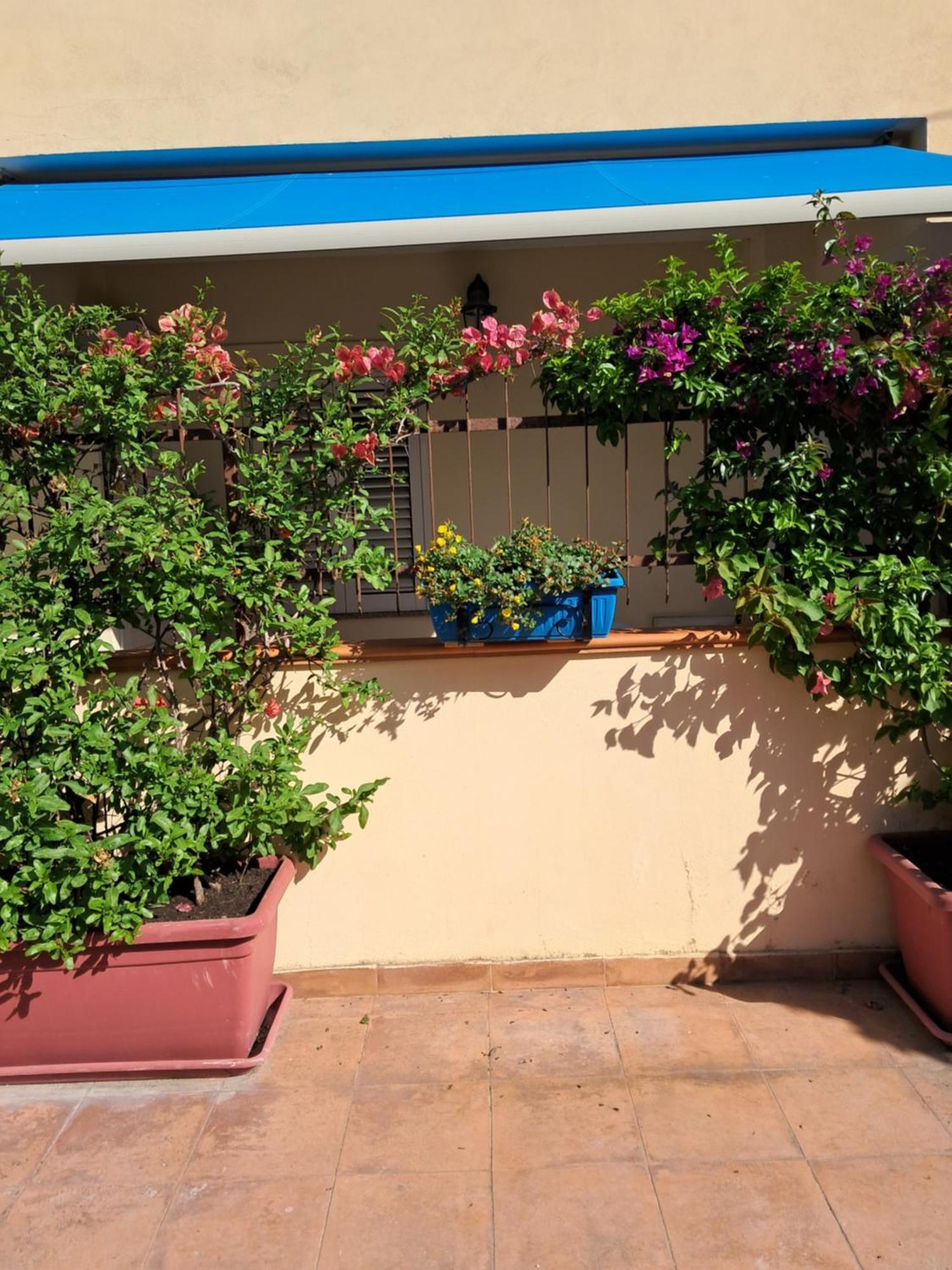 My Little House - Appartamento Con Patio E Parcheggio Privato A 5 Minuti Dalla Spiaggia E Dal Centro Tropea Exteriér fotografie